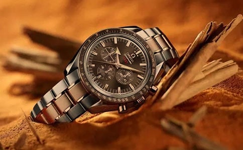 打工賺手表作文400字