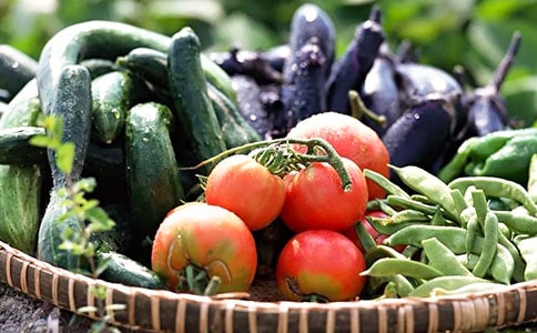 �߲�ӡ�����g(sh��)�̰�