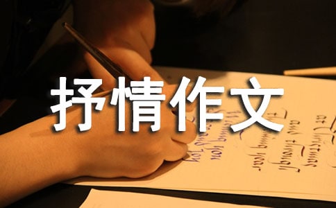 【精華】抒情作文600字3篇