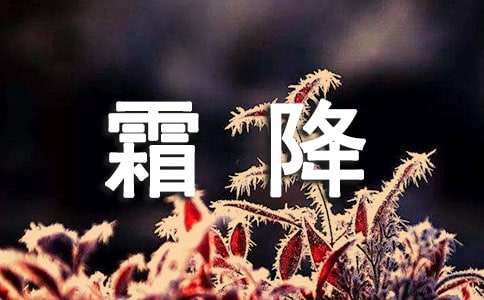 描寫霜降的優(yōu)美句子(精選250句)