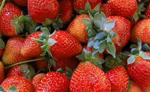 小班科學(xué)水果切切切教案