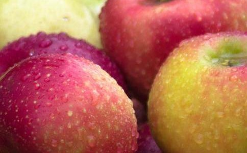 水果店作文集合15篇