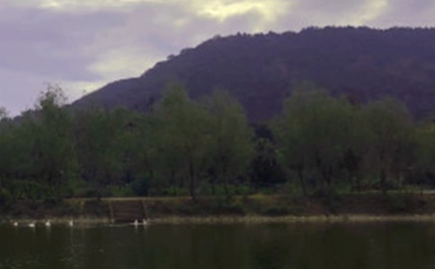 水庫養(yǎng)殖承包合同