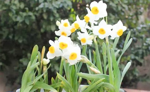 ˮ�ɻ������ķ�����15ƪ��