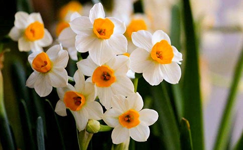 (���])ˮ�ɻ�����