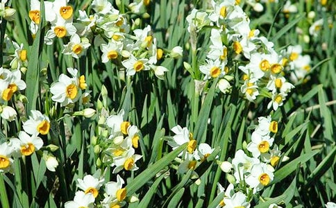 ������ˮ�ɻ�����