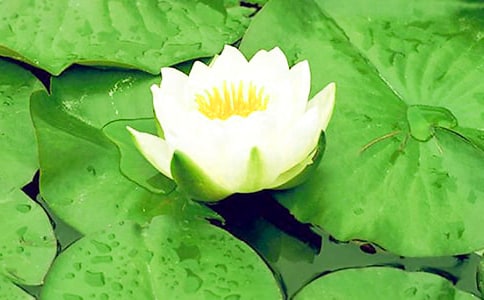 ˯ɏ�W(xu��)������