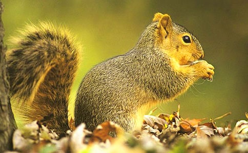 �P(gu��n)�ڡ����󡷽̰��O(sh��)Ӌ(5ƪ)