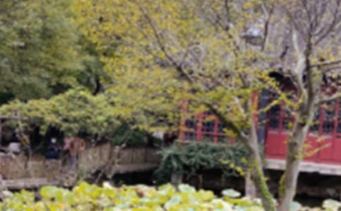 蘇州園林讀后感