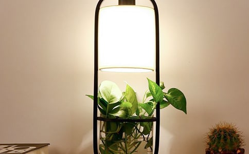 ���_��������600��4ƪ