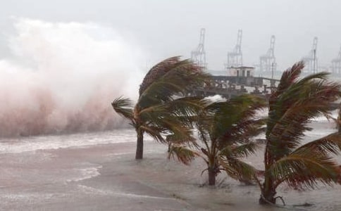 臺風后工作總結(jié)(精選5篇)