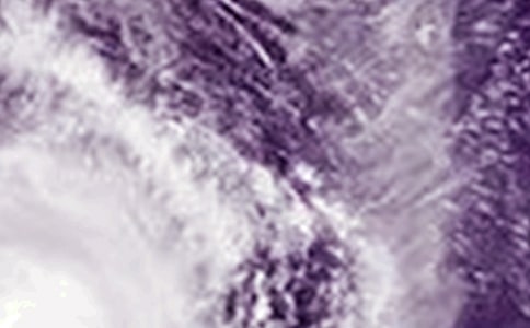 實(shí)用的臺(tái)風(fēng)作文400字