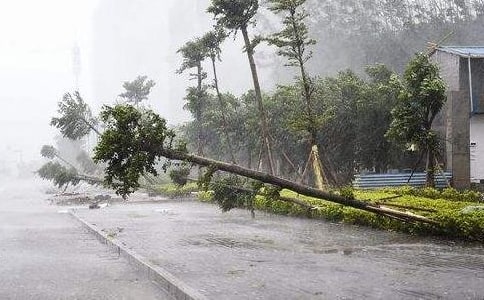 可怕的臺風作文