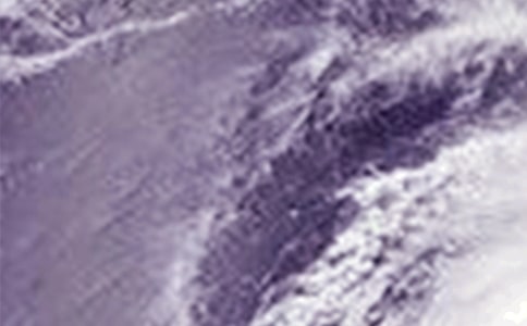 臺風的威力的作文推薦