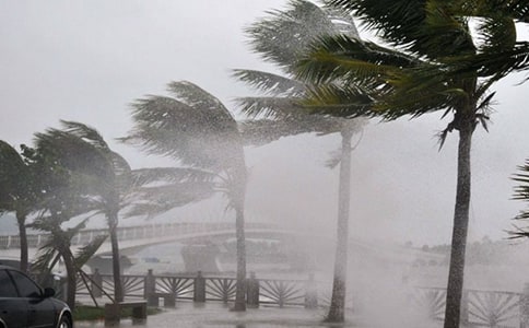 �_�L(f��ng)��������650��