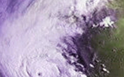 臺(tái)風(fēng)來(lái)了作文集錦15篇