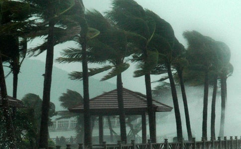 關(guān)于臺風(fēng)的日記36篇