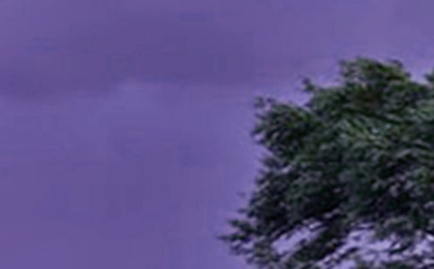 �P(gu��n)���_�L(f��ng)�����ġ���(y��u)��