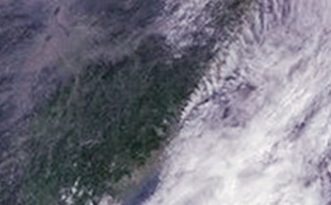 臺(tái)風(fēng)過(guò)后作文