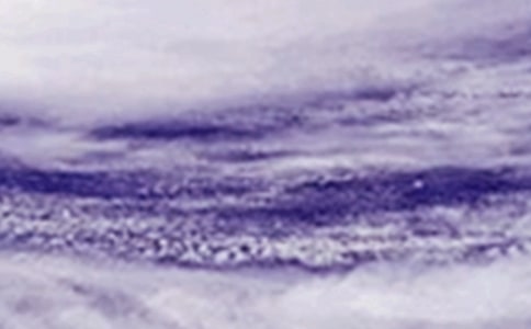 臺風(fēng)的作文600字