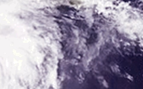 臺風(fēng)暴雨安全應(yīng)急方案