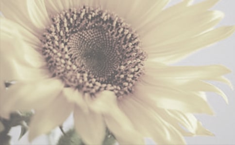 ̫ꖻ�����