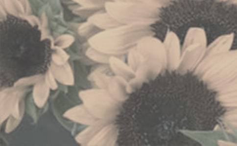 �а����g(sh��)���̫ꖻ��̰�