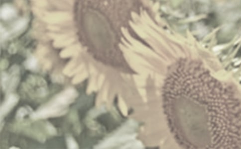 �����x��̫ꖻ�������3ƪ