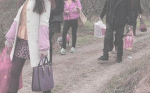 回家探親作文600字(精選43篇)