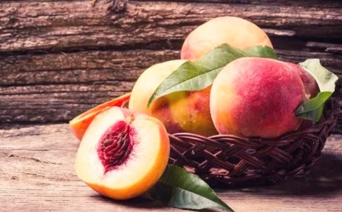 小猴子摘桃子作文(通用26篇)