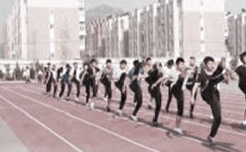 小學(xué)體育教學(xué)計(jì)劃范文