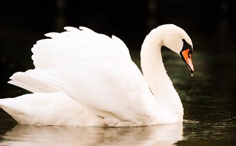 �����Z��ˮ����������