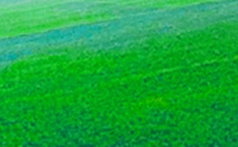 ��������Ұ -����