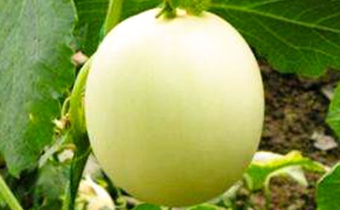 ������Ч�e���紺�O(sh��)ʩ��Ƥ��Ϲ���(sh��)�l(f��)��ģ�Mģ��