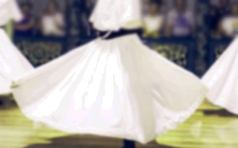 ����w����(y��u)�|(zh��)�n�̰����W��������