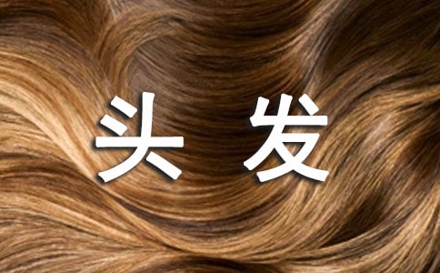 母親的頭發(fā)優(yōu)秀作文