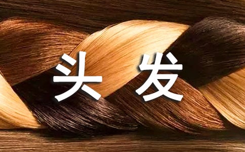 小班給柳樹(shù)姐姐梳頭發(fā)教案