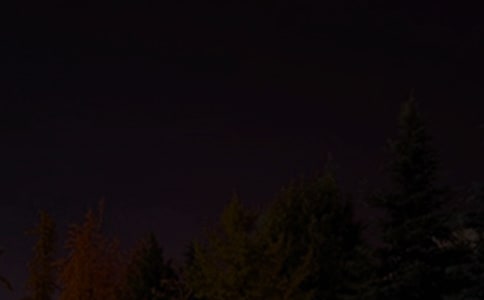 ���ε�����ϵ��������Ȧ�����Z�ϼ�41�l