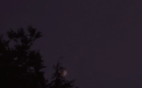 ��(j��ng)���ܰ�������Z(y��)�����x180�䣩