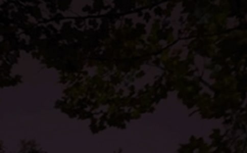 晚安簡(jiǎn)單句子