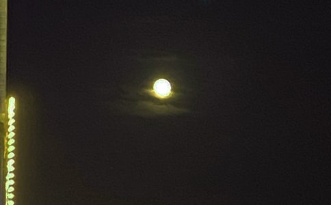 �������������Z(4ƪ)