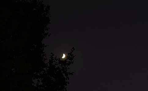 精選唯美的晚安問(wèn)候語(yǔ)集錦68句