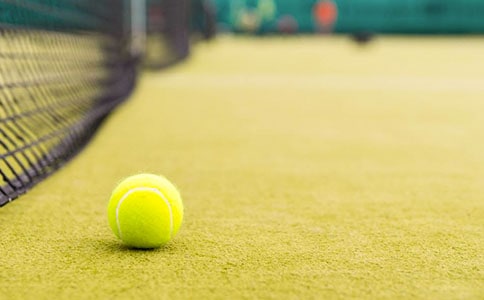 打網(wǎng)球,太棒了作文