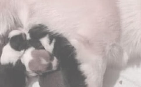 ʡ��ι�̵����� -�Y��