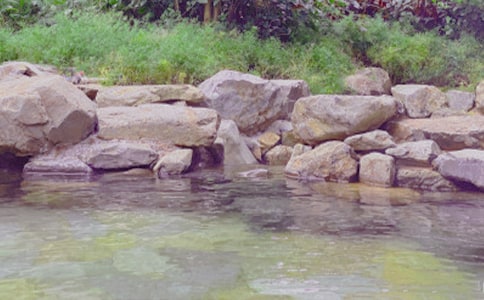 羊尖溫泉游600字作文