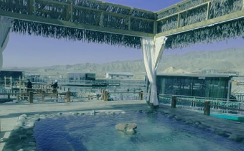 �P(gu��n)�ڜ�Ȫ����