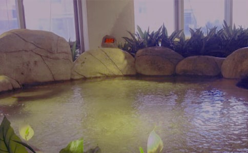 泡溫泉作文必備(15篇)