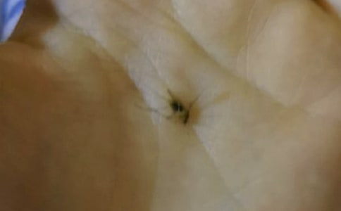 ���ӵ��������Č���[15ƪ]