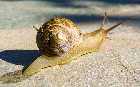 С��(d��ng)���^����ӛ΁ţ