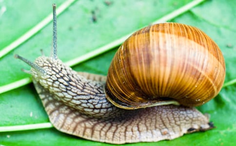 ���P(gu��n)΁ţ��ӛ���ĺϼ�8ƪ